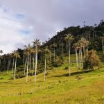 Parque de San Andrés Cutervo